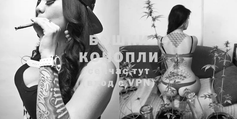 купить наркотики сайты  кракен ссылки  Конопля SATIVA & INDICA  Кузнецк 